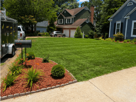 Front yard mowing — after